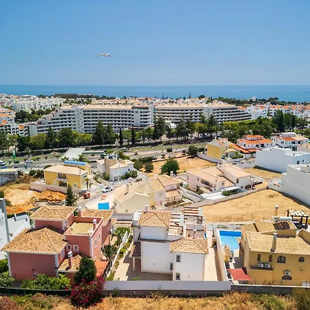 Sunflower By Ocvillas